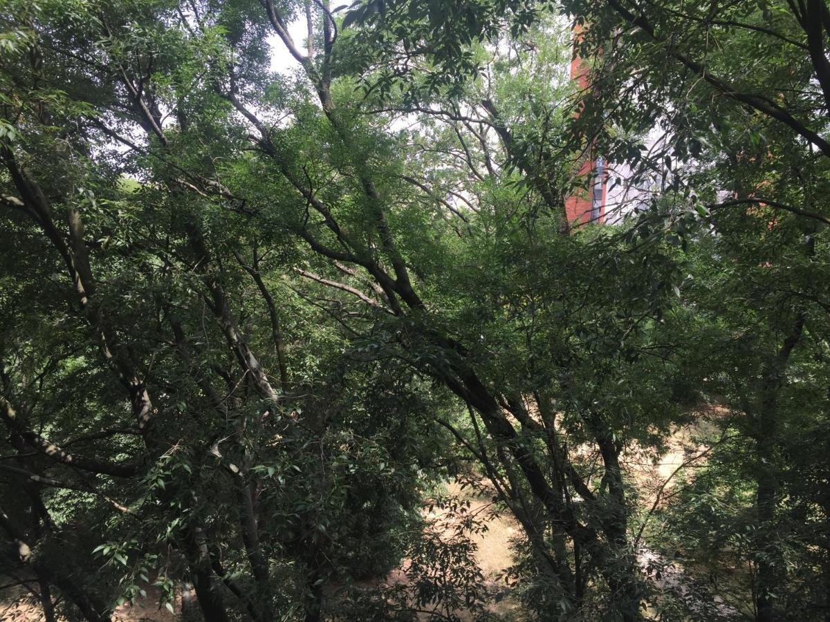 Apartment Ljiljana Belgrád Kültér fotó