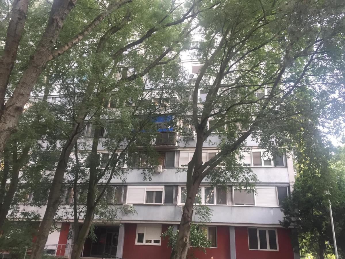 Apartment Ljiljana Belgrád Kültér fotó