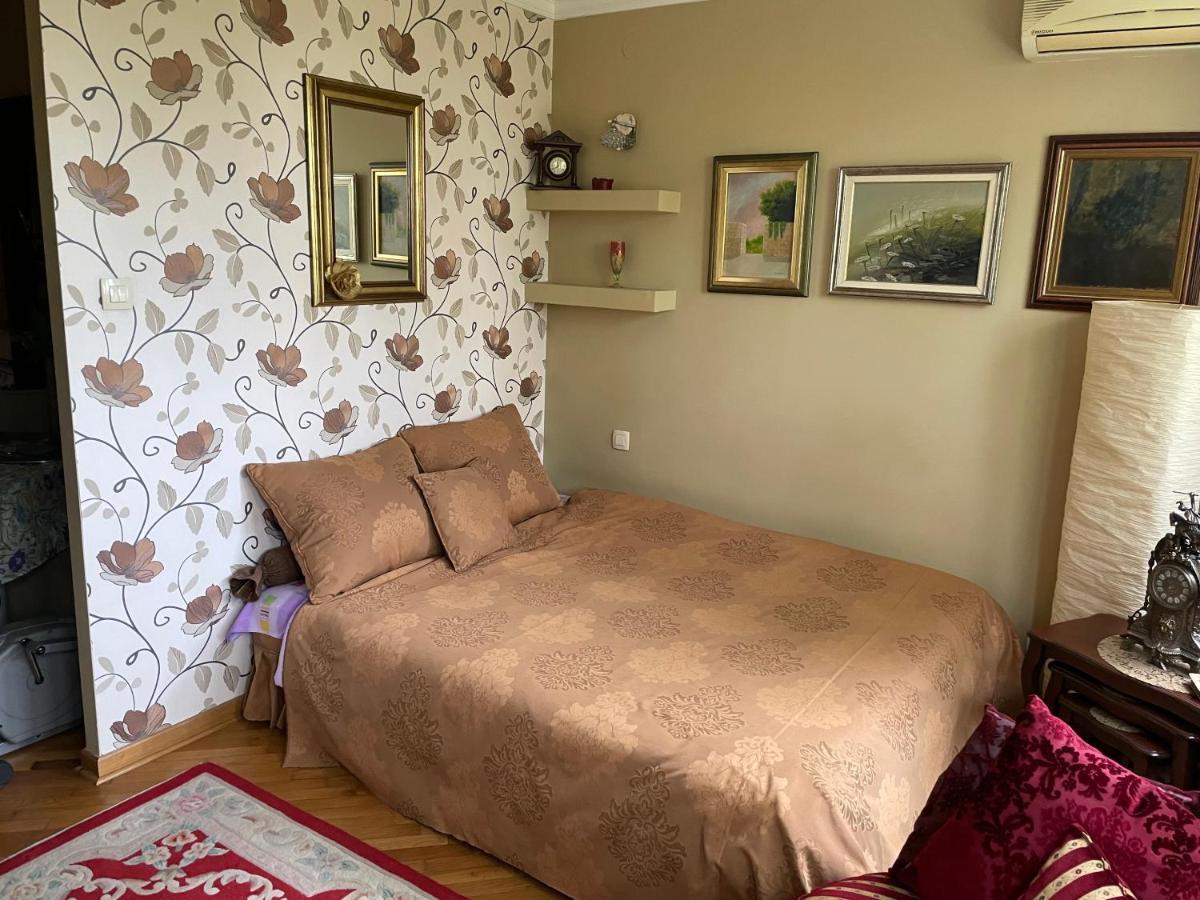 Apartment Ljiljana Belgrád Kültér fotó