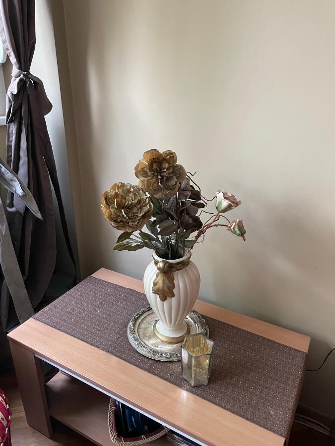 Apartment Ljiljana Belgrád Kültér fotó